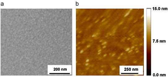 SEM (a) and AFM (b) micrographs obtained from InAs grown on {2 1 1} Si at 280 °C.