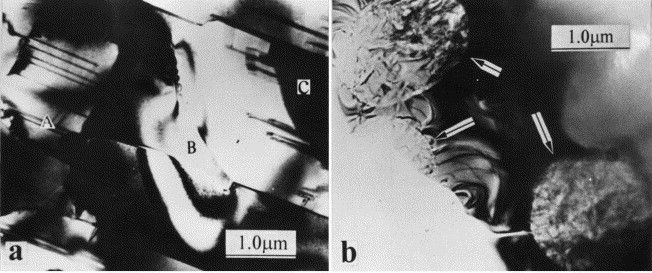 The typical microstructure of ZrNiVMn hydrogen storage alloys showing C15, C14 Laves phases and Zr9Ni11 coexist as indicated by A, C and B respectively (a), and zirconia particles were found in the alloys (b)