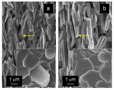 SEM images showing the fractured cross sections of Ca3xYbxCo4O9þd, (a) x=0.1 and pressed at 0.5 GPa, and (b) x=0.3 and pressed at 2 GPa. Inserted images show morphologies of the corresponding pressed planes.