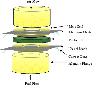 Schematic of SOFC button cell experimental setup