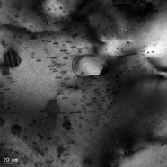 TEM diffraction contrast images showing the morphology and distribution of the nano-precipitates