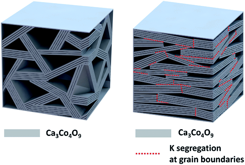 Schematic showing the crystal texture development and dopants K segregation at the grain boundaries of sample Ca3Co4O9K0.1.